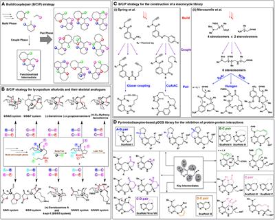 A Brief Overview of Two Major Strategies in Diversity-Oriented Synthesis: Build/Couple/Pair and Ring-Distortion